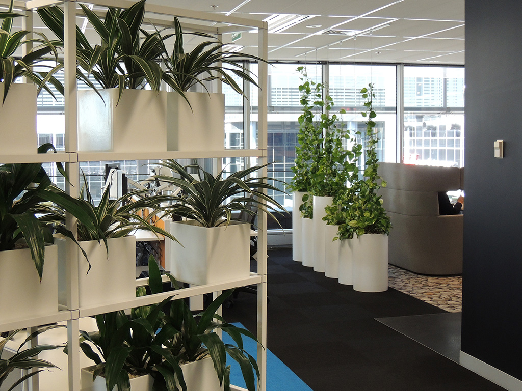 Office Plants Ottawa